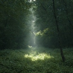 делай больней