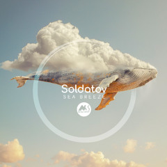 𝐏𝐑𝐄𝐌𝐈𝐄𝐑𝐄: Soldatov - You Never Know [M-Sol DEEP]