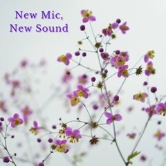 New Mic, New Sound