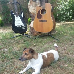 One Dog Two Guitars