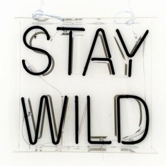 Stay Wild II