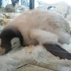 the lonlyness has me in there grasp