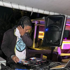 WIL SAH - KRIPPY KUSH X WHATEVER YOU LIKE (REGGAE MASHUP 2K24)