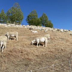 YAHUAH AL’HYNU