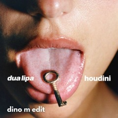 Dua Lipa - Houdini X Chris IDH - Falling For Your Lies (Dino M Edit)