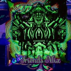 Dj. FL3Xtronics ॐ Friends Mix 👽🍄