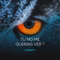 TÚ NO ME QUERÍAS VER?