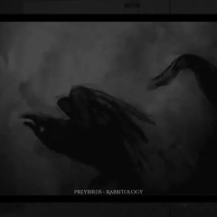 "Preybirds" - Rabbitology (Slowed + Reverb)