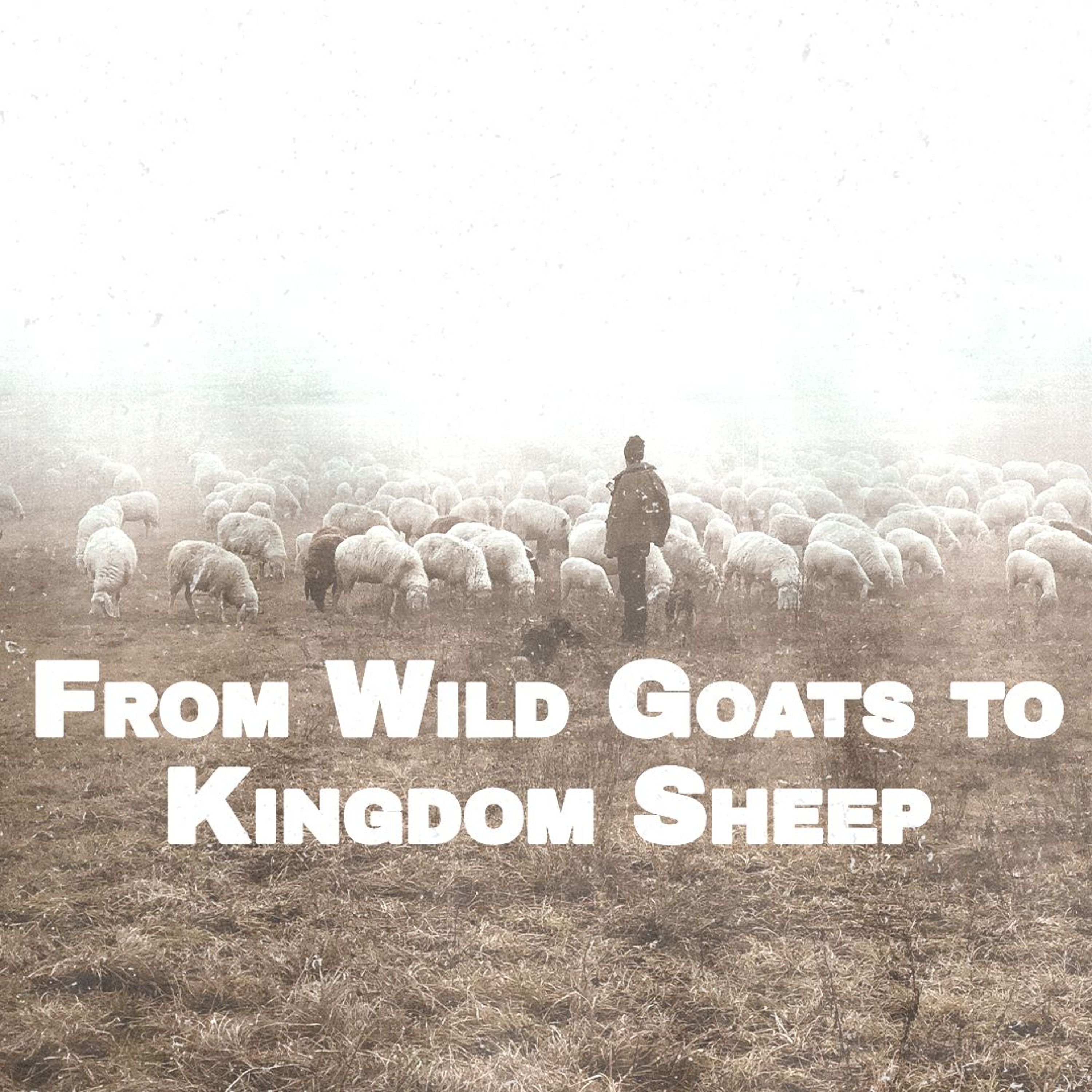 From Wild Goats to Kingdom Sheep | 1% Series | David Bendett episode artwork