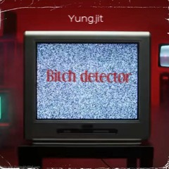 Bitch Detector
