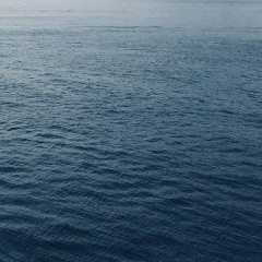 Under the Sea