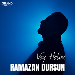 Vay Halim