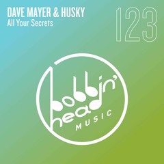 Dave Mayer & Husky - All Your Secrets