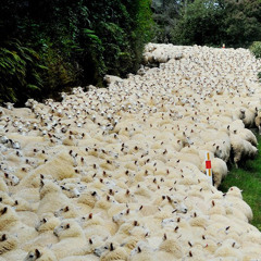 A Question Of Time Does Not Count (flock mix)