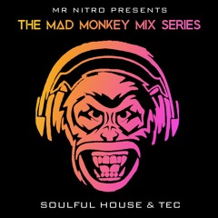 Mad Monkey Mix Series - Soulful House & Tec