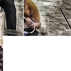 Emily Shapiro, Douglas Benford, Peter Nagle & Megan Steinberg - 1