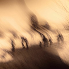 Visual Poems -  Light & Shadow - Park Speech