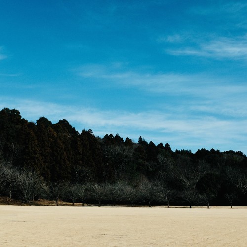 Log_20230112（demo）