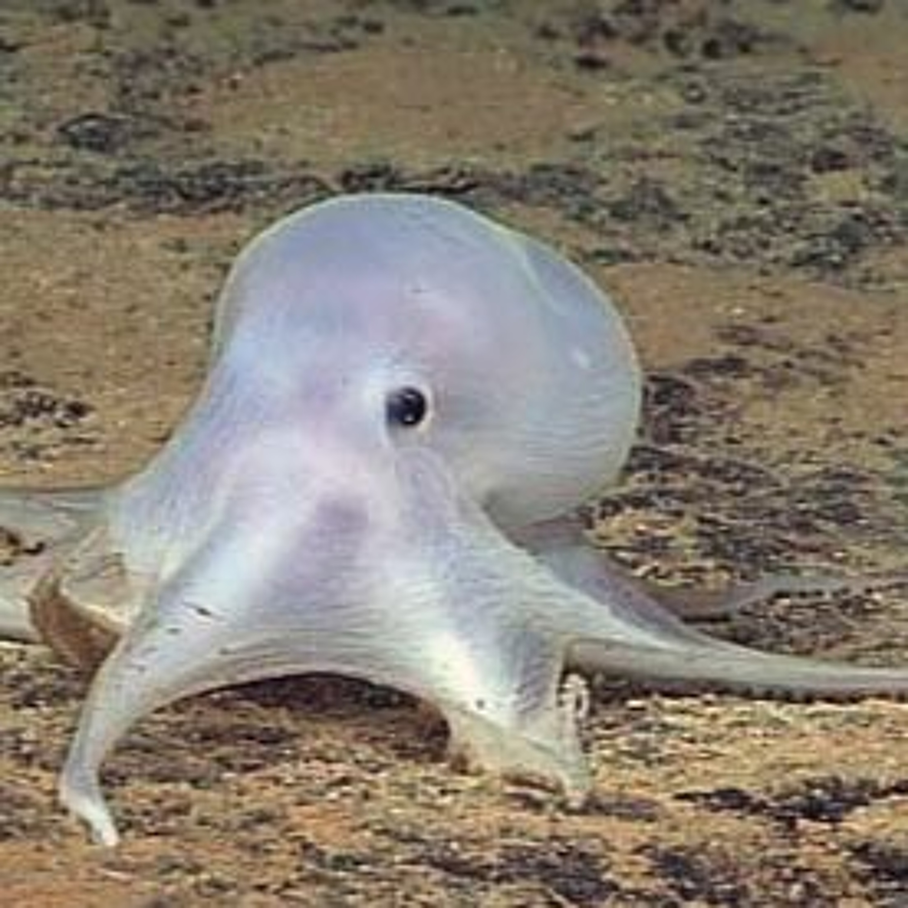 Astronomie - En route vers les etoiles