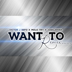 Remix - VICTOR J Sefo X Josh Wawa X Molo Try (REMIX)