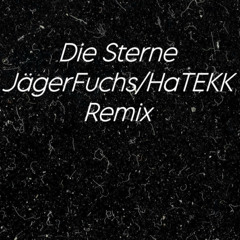 Die Sterne RMX