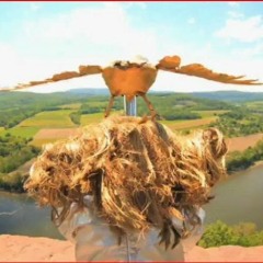 VIR UNIS WEIRD FISHES RADIOHEAD COVER