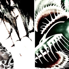 garçon mort (NOMIX) /.nostalgia!