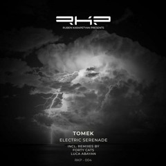 Tomek - Electric Serenade (Original Mix)