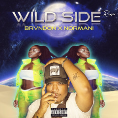 Wild Side (B-Mix) - BRVNDON x NORMANI