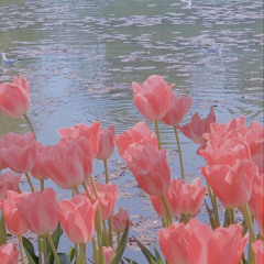 개화 (開花)