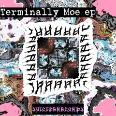 Decoded Flow - Terminally Moe (CDR Remix)
