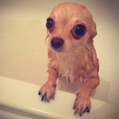 WET! - (CESARM815 x Jamal)