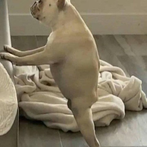 Walking Through Project 8