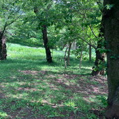 osanpo1