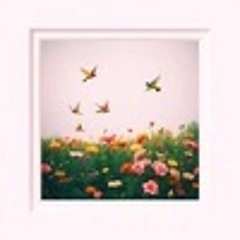 Ive been lost before