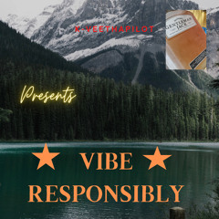 Vibe Responsibly