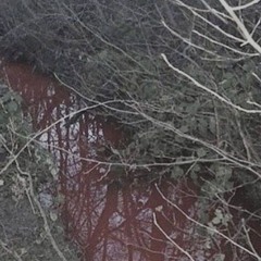 @mutov - схожу с ума