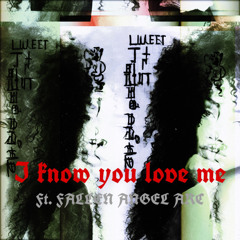 I know you love me Ft+ Fallen Angel Arc <3