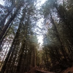 OF ONE - FEF RADIO SHOW - OCT 2025