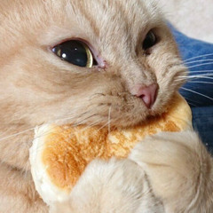 flatbread extended directors cut