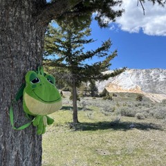 Isley brothers - came to chill (TPM refix)