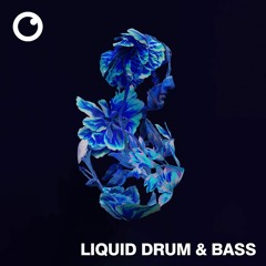 Liquid Drum & Bass Sessions #55 [November 2022]