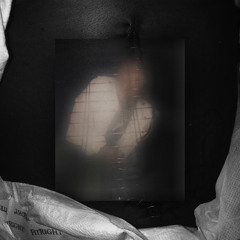 hundeZwinger (Rocky Badd Flip)