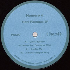 PNK09 - B1 - Numero 6 - Golden Mo