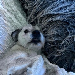 Honey, I'm so tired