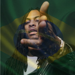 NO HANDS FUE (Lentz Ansar Blend)  filtered