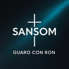 Guaro con Ron Alan Walker ft Sofía Reyes (Sansom Remix)