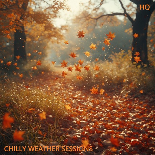 Chilly Weather Sessions - Golden Beats LP