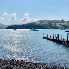 05.Back To Normal x Party Animal ( Jive Ridiimz ) Jrexx 2k21.mp3