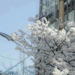 spring 2k25 clips @tores